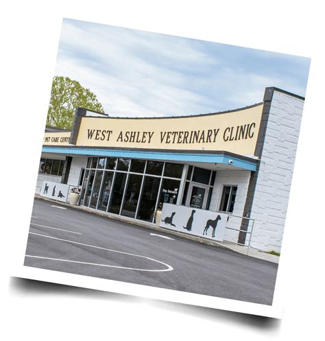 West ashley vet - website